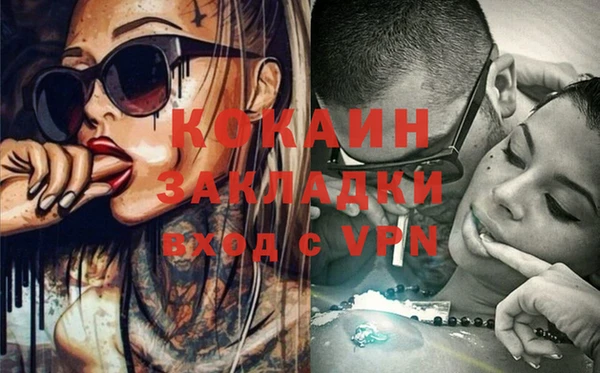 индика Вязники