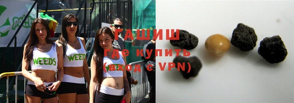 индика Вязники