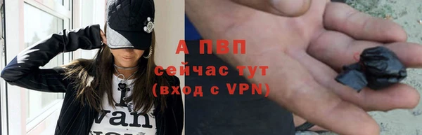индика Вязники