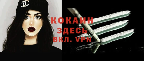 индика Вязники