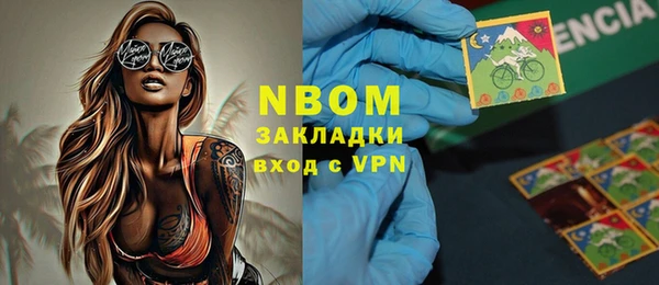 индика Вязники