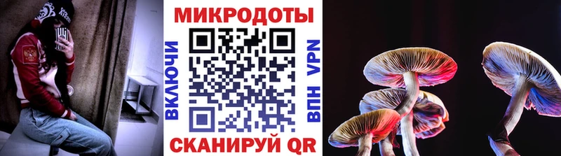 Купить где  Белоусово  Галлюциногенные грибы Psilocybe 